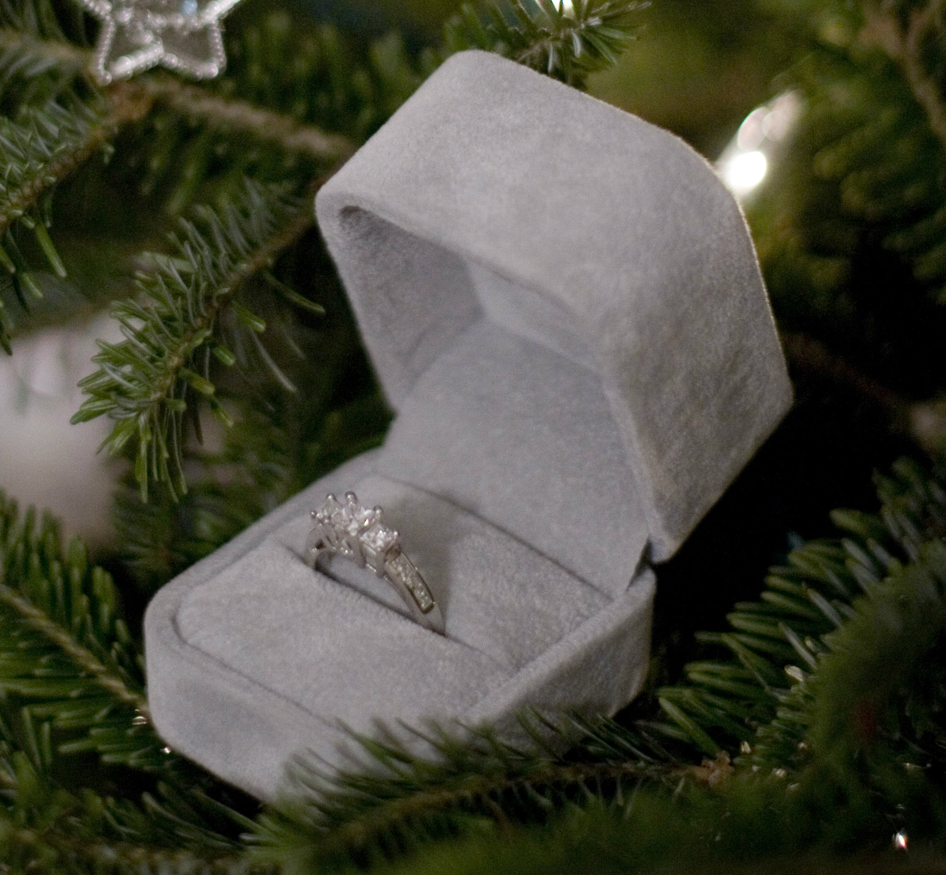 Have a Very Merry Proposal!